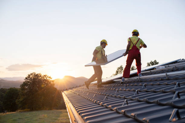 Best Skylights  in Allendale, SC