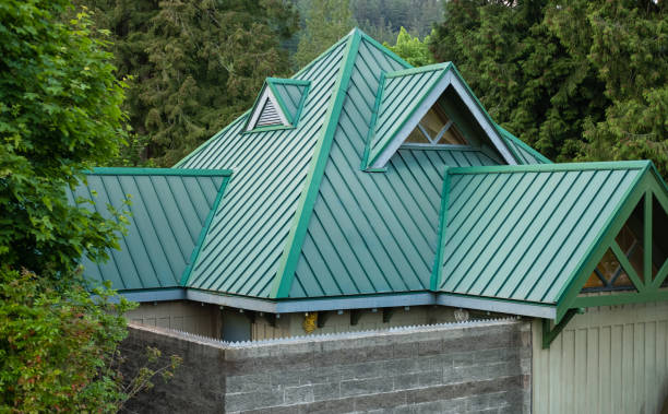 Best Solar Panel Roofing Installation  in Allendale, SC