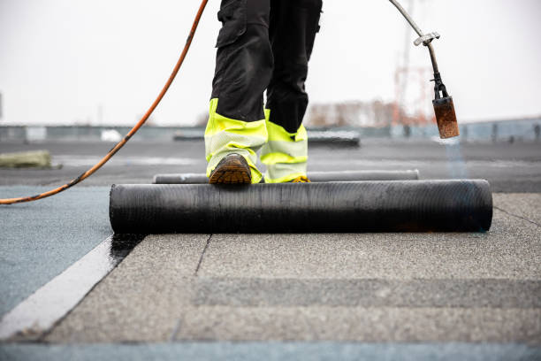 Best Rubber Roofing (EPDM, TPO)  in Allendale, SC